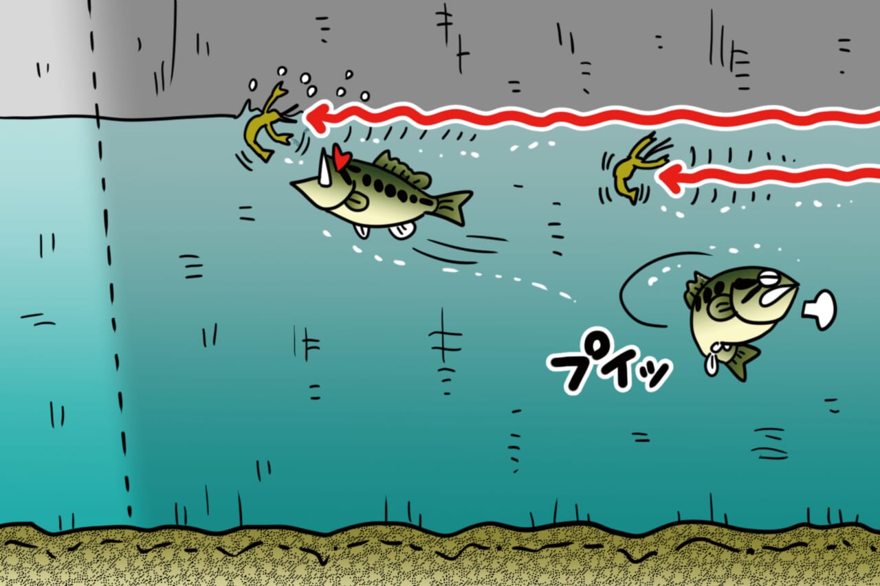 |【青木大介VS梶原智寛DAY1】師弟対決!トップトーナメンター同士が灼熱の北浦で激突!!【釣果推移で追う陸王WEBスペシャル】