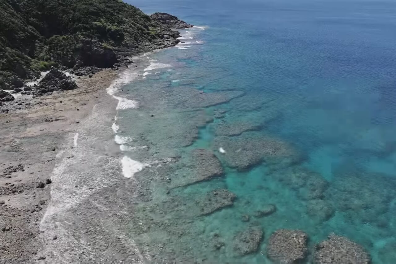｜「この歯は指飛ぶ…」世界有数の透明度を誇る海で釣れた“派手すぎる”『魚』。実は“凶暴”で危険…。「噛まれたらヤバいね」