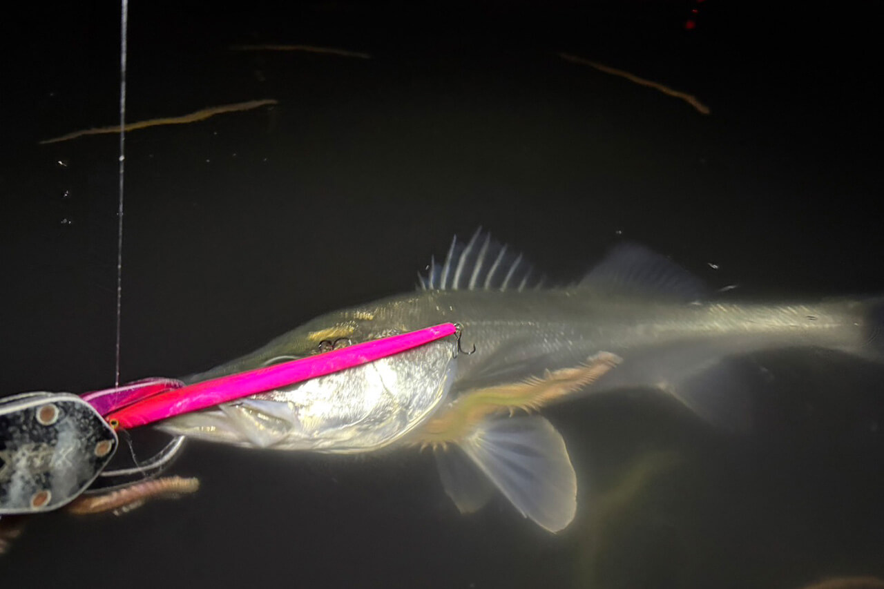 ｜「これからのバチルアーの中心」シマノの『ランザ』の性能がヤバすぎる件について。