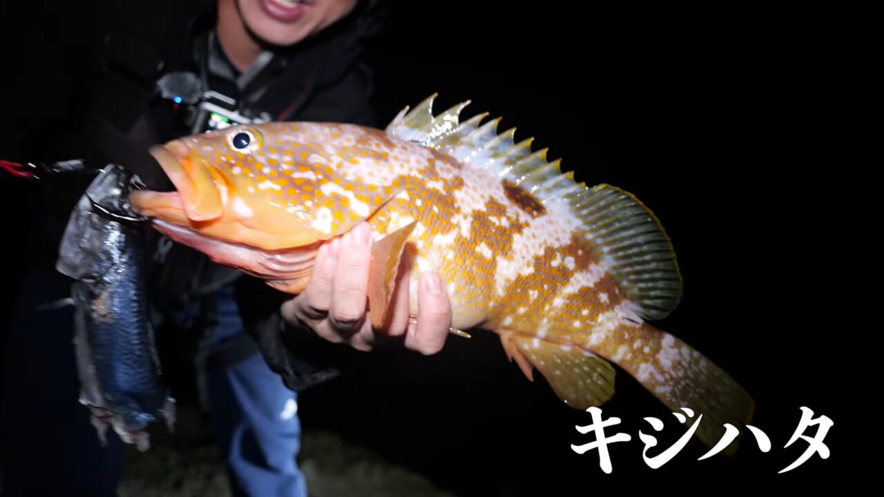 ｜「キタッ！」すべての“大物”が釣れる「神の岩」でユーチューバーが釣りキャンプ。『30万回』再生された磯釣り動画がスゴイ。「最高でした」