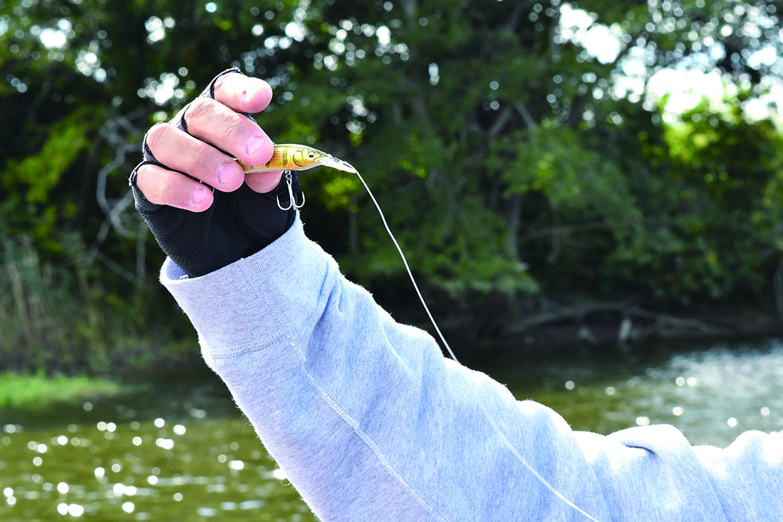 ｜ハードベイターこそラインを選べ！櫻井亮が語るハードルアーとラインの奥深き関係