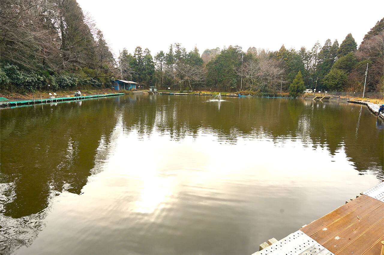 ｜エリアトラウトフリークに朗報！「ボックス派」&「バッカン派」両タイプ対応のトランスフォームギアの実力検証【ボックス編】