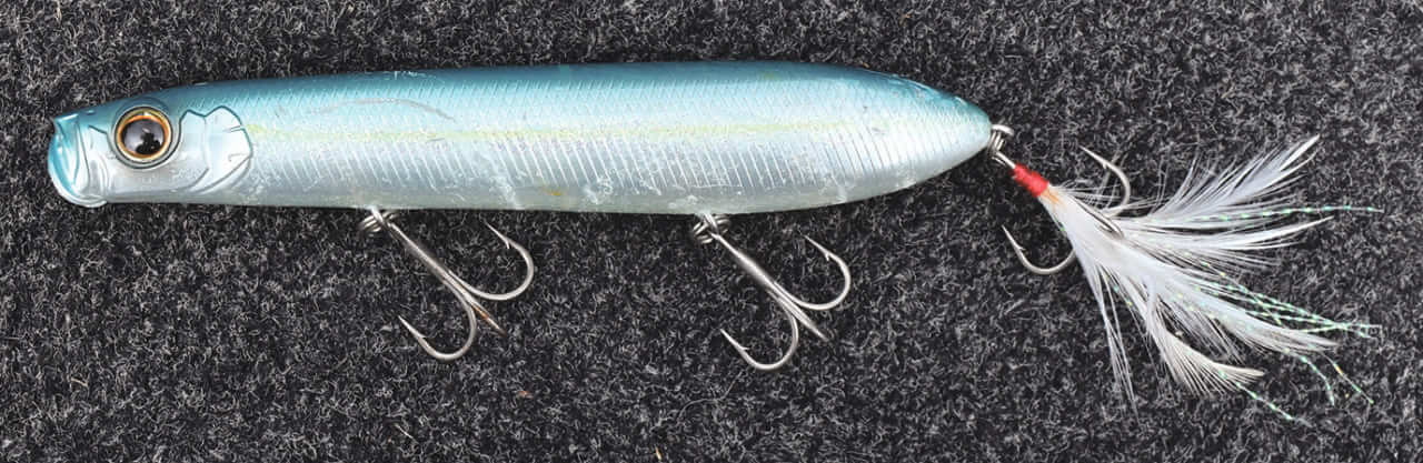 ｜すぐにスローダウンするな！清水盛三の『瞬間』を釣る方法論