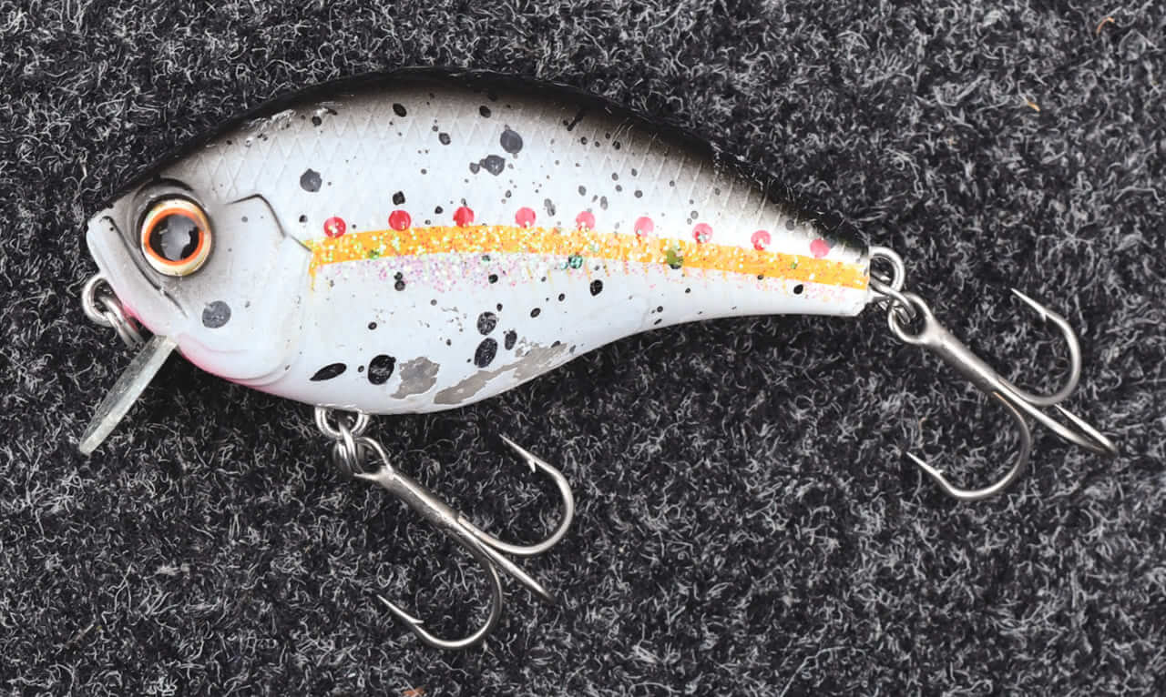 ｜すぐにスローダウンするな！清水盛三の『瞬間』を釣る方法論