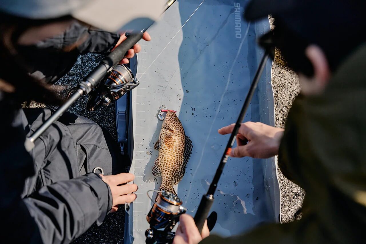 ｜「最初の1台はコレ」シマノから登場する『ハイコスパリール』。上位機種譲りのテクノロージーを搭載した満足度の高い1台に。