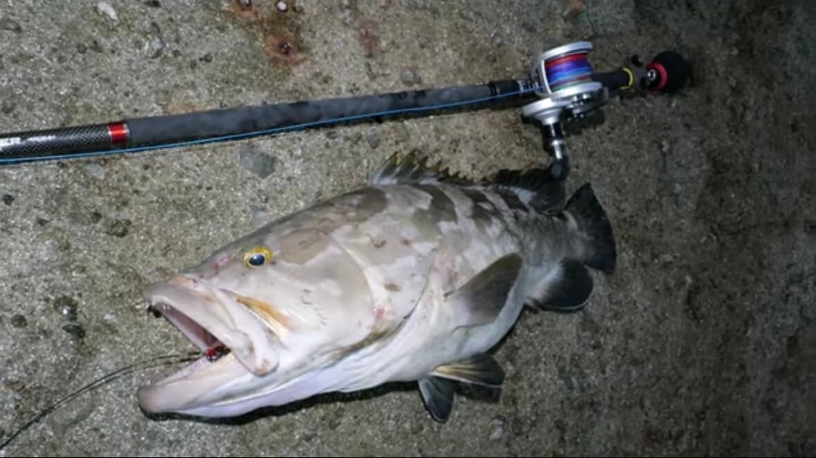 ｜「キタッ！」すべての“大物”が釣れる「神の岩」でユーチューバーが釣りキャンプ。『30万回』再生された磯釣り動画がスゴイ。「最高でした」