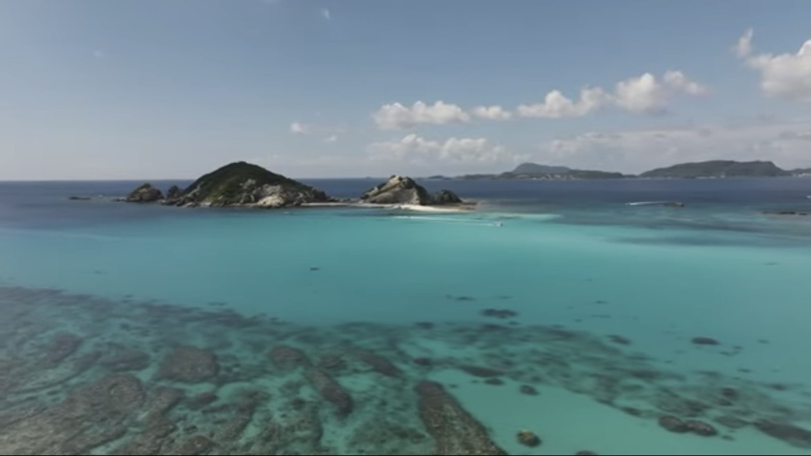 ｜「この歯は指飛ぶ…」世界有数の透明度を誇る海で釣れた“派手すぎる”『魚』。実は“凶暴”で危険…。「噛まれたらヤバいね」