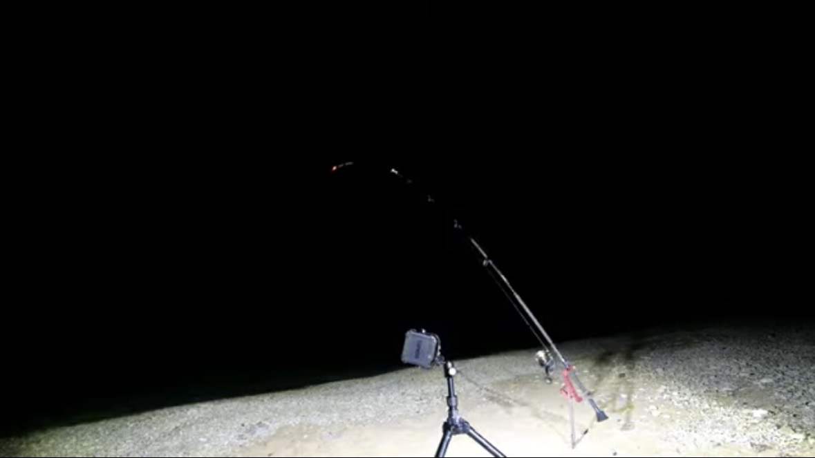 ｜「この歯は指飛ぶ…」世界有数の透明度を誇る海で釣れた“派手すぎる”『魚』。実は“凶暴”で危険…。「噛まれたらヤバいね」