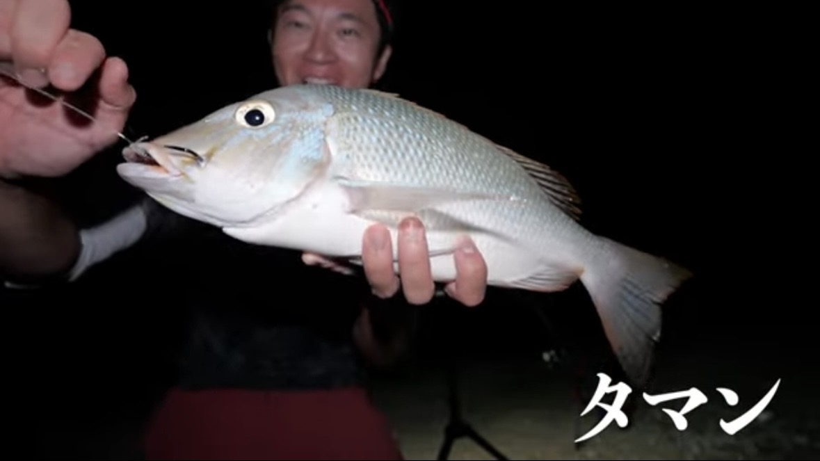 ｜「この歯は指飛ぶ…」世界有数の透明度を誇る海で釣れた“派手すぎる”『魚』。実は“凶暴”で危険…。「噛まれたらヤバいね」