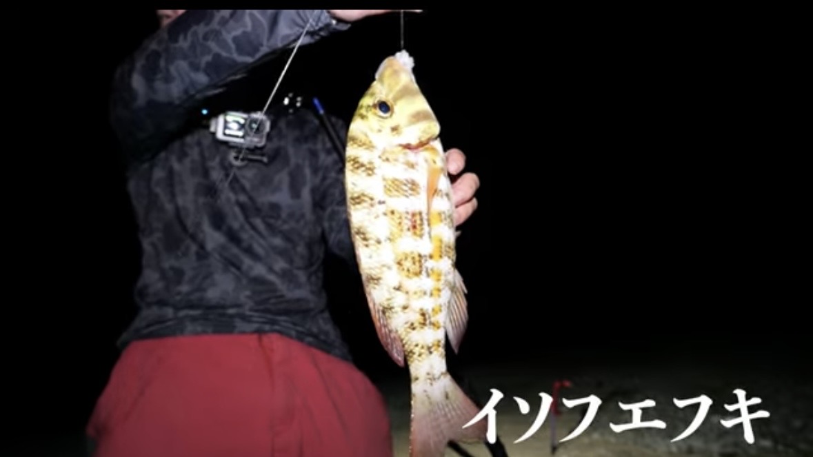 ｜「この歯は指飛ぶ…」世界有数の透明度を誇る海で釣れた“派手すぎる”『魚』。実は“凶暴”で危険…。「噛まれたらヤバいね」