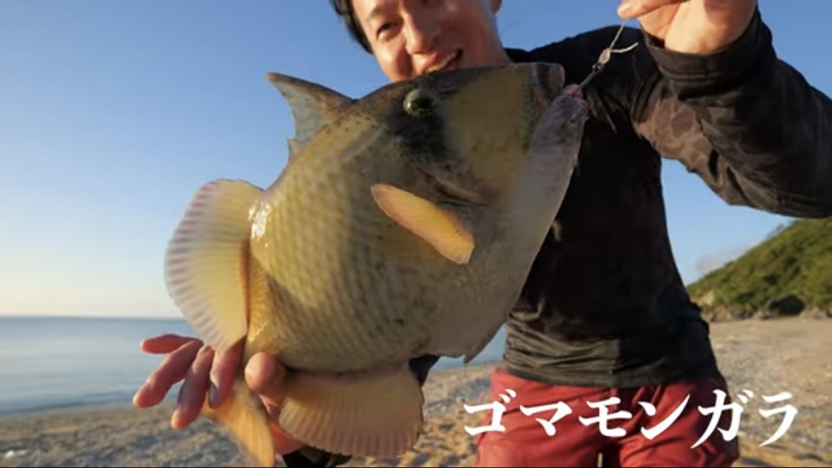 ｜「この歯は指飛ぶ…」世界有数の透明度を誇る海で釣れた“派手すぎる”『魚』。実は“凶暴”で危険…。「噛まれたらヤバいね」