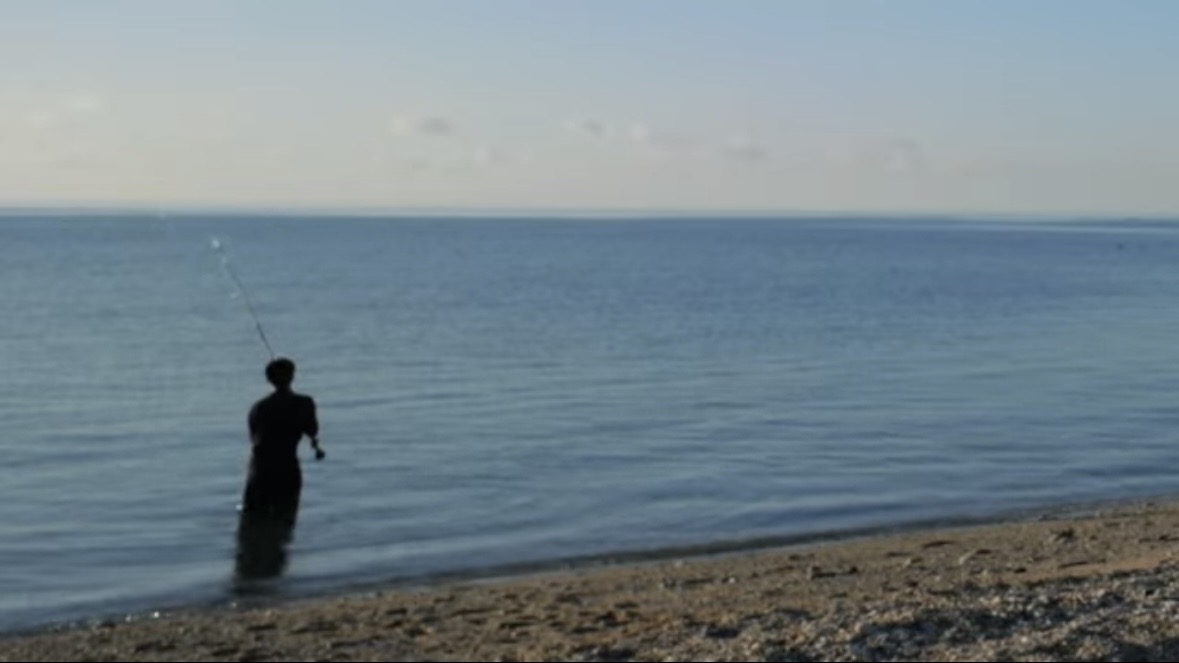 ｜「この歯は指飛ぶ…」世界有数の透明度を誇る海で釣れた“派手すぎる”『魚』。実は“凶暴”で危険…。「噛まれたらヤバいね」