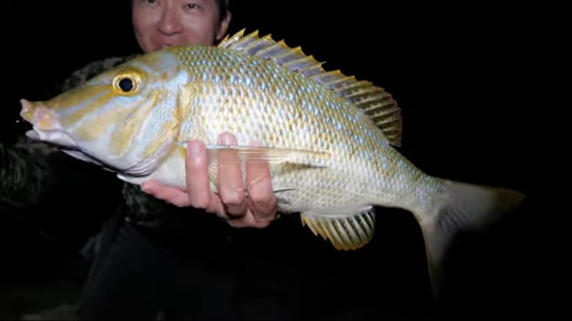 ｜「この歯は指飛ぶ…」世界有数の透明度を誇る海で釣れた“派手すぎる”『魚』。実は“凶暴”で危険…。「噛まれたらヤバいね」