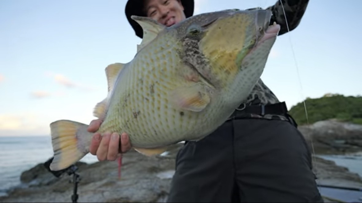 ｜「この歯は指飛ぶ…」世界有数の透明度を誇る海で釣れた“派手すぎる”『魚』。実は“凶暴”で危険…。「噛まれたらヤバいね」