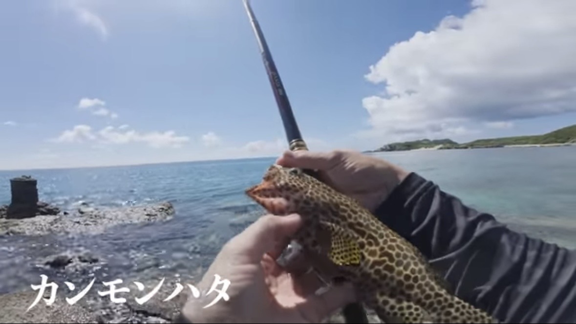｜「海に沈んだ遺跡」離島で見つけた“謎の構造物”。実際に乗って釣りをしてみたら、まさかの展開に。「マジか、この魚が…」