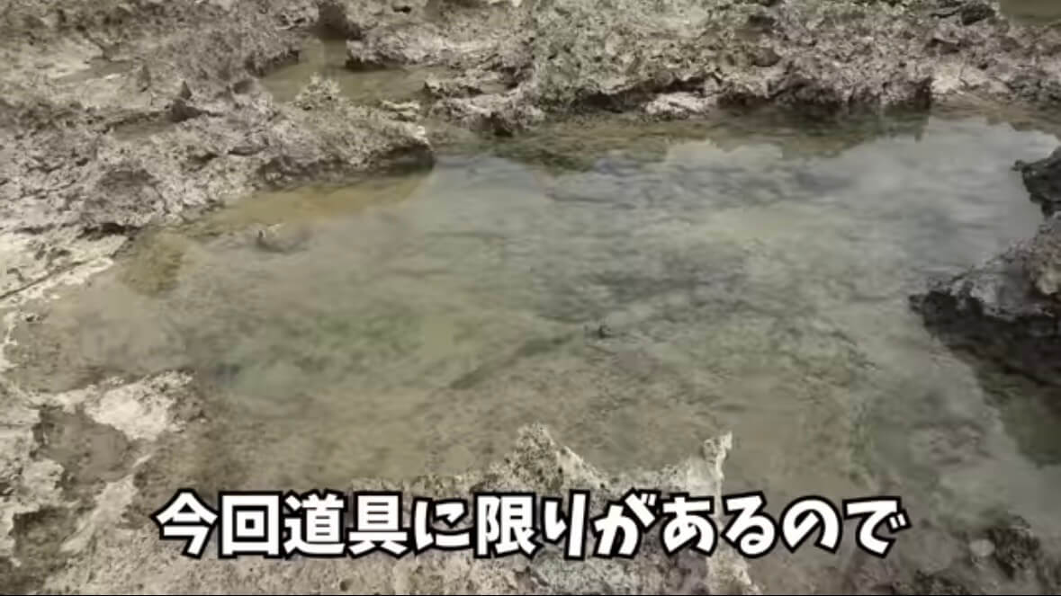 ｜「この発想はスゴイ」「マジかよ」“海の水を抜く”という驚異の企画。海底からどんな生物が現れるのか…。「コイツだけは捕まえたい」