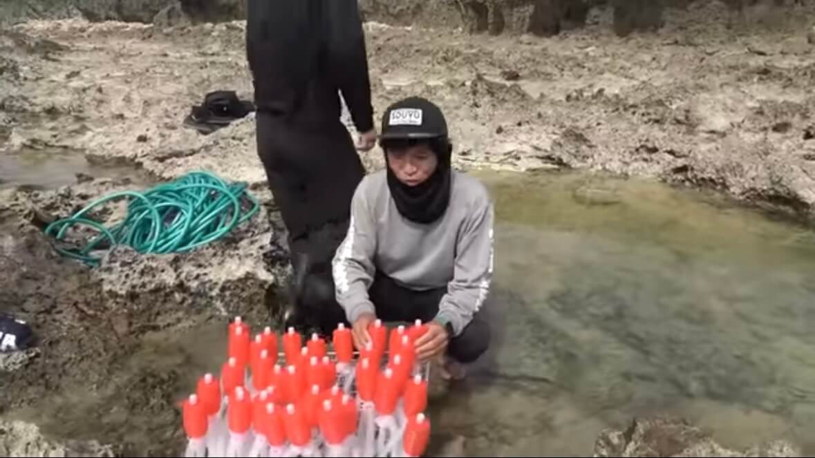 ｜「この発想はスゴイ」「マジかよ」“海の水を抜く”という驚異の企画。海底からどんな生物が現れるのか…。「コイツだけは捕まえたい」