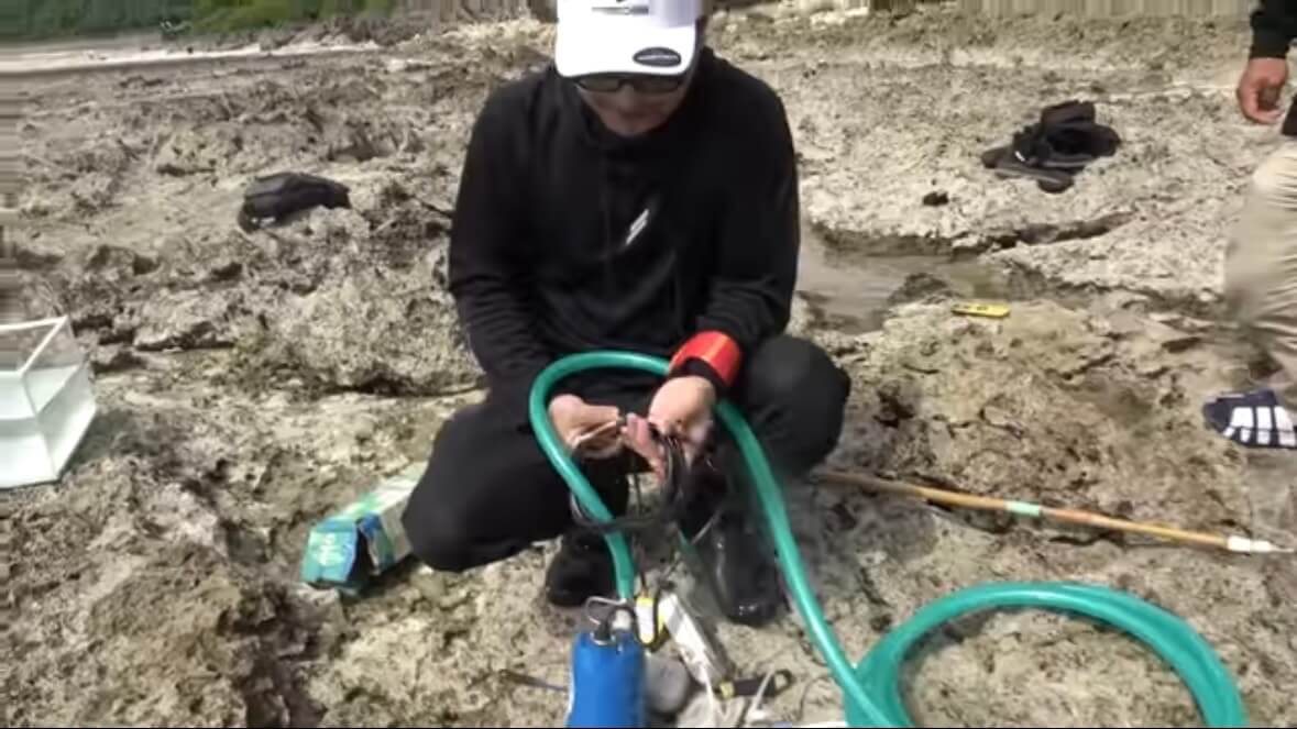 |「この発想はスゴイ」「マジかよ」“海の水を抜く”という驚異の企画。海底からどんな生物が現れるのか…。「コイツだけは捕まえたい」