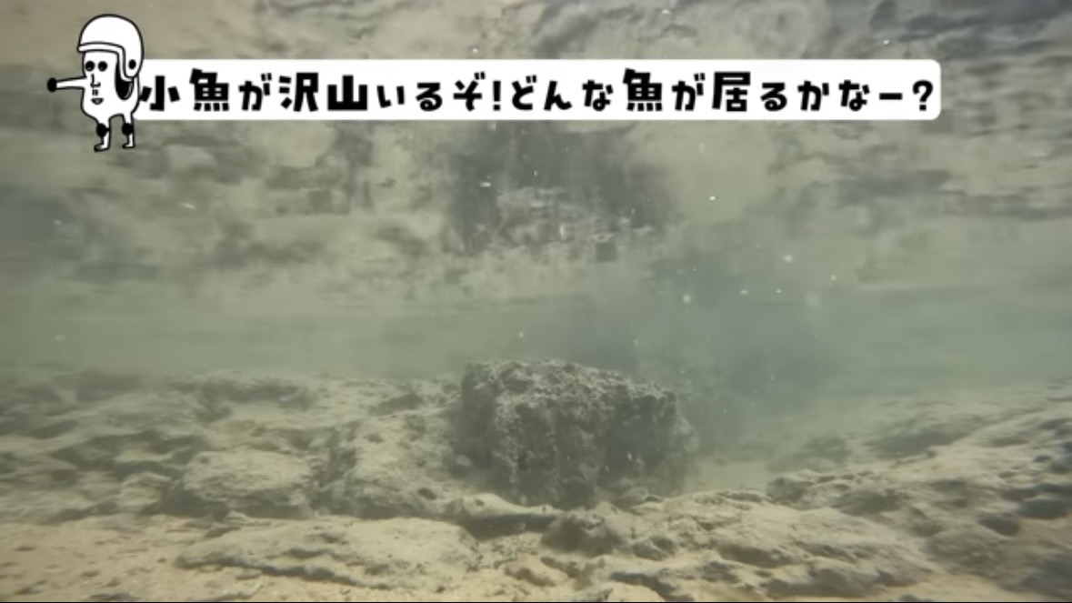 ｜「この発想はスゴイ」「マジかよ」“海の水を抜く”という驚異の企画。海底からどんな生物が現れるのか…。「コイツだけは捕まえたい」