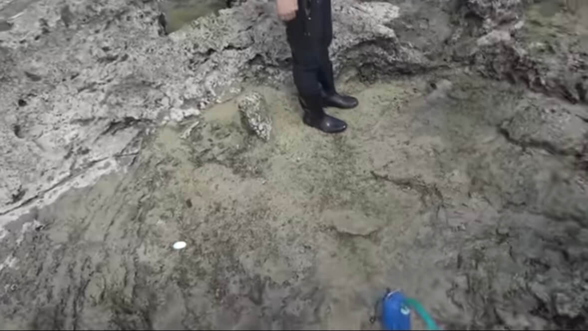 |「この発想はスゴイ」「マジかよ」“海の水を抜く”という驚異の企画。海底からどんな生物が現れるのか…。「コイツだけは捕まえたい」