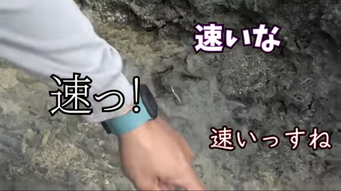 |「この発想はスゴイ」「マジかよ」“海の水を抜く”という驚異の企画。海底からどんな生物が現れるのか…。「コイツだけは捕まえたい」