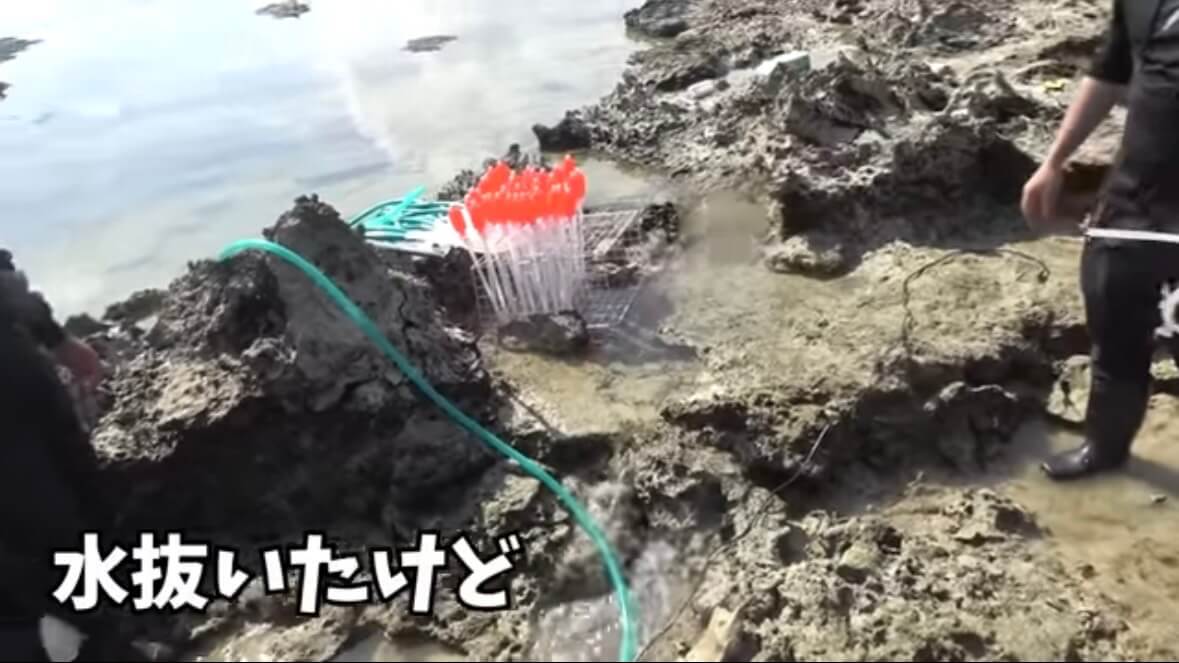 |「この発想はスゴイ」「マジかよ」“海の水を抜く”という驚異の企画。海底からどんな生物が現れるのか…。「コイツだけは捕まえたい」