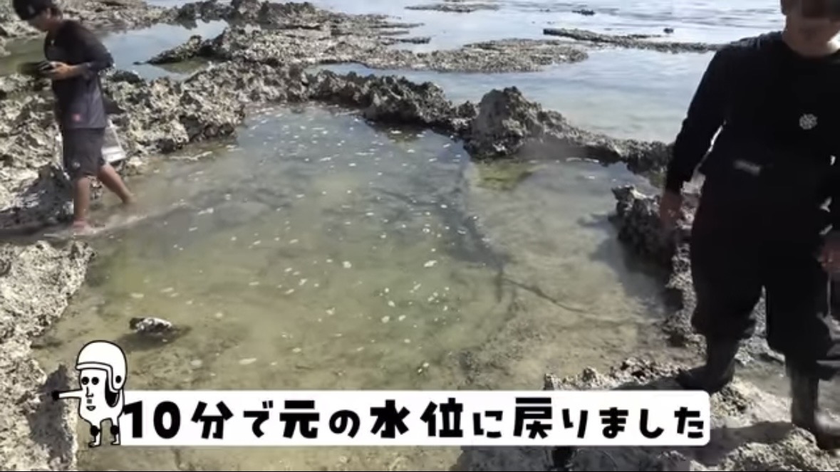 |「この発想はスゴイ」「マジかよ」“海の水を抜く”という驚異の企画。海底からどんな生物が現れるのか…。「コイツだけは捕まえたい」