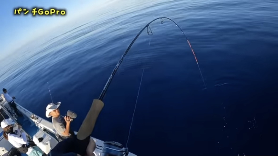 ｜「サメが追ってる！」数万匹レベルの魚の群れに遭遇。釣れた魚が『頭だけ』になる事件発生…。「犯人はコイツです」