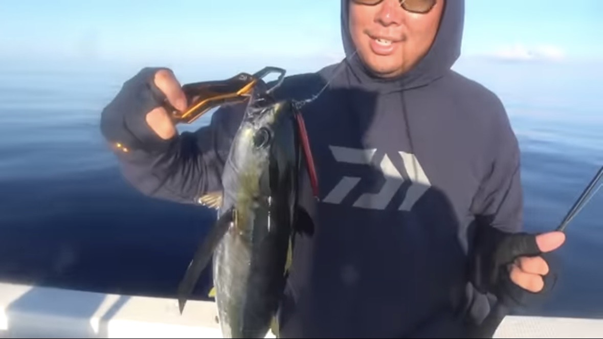 ｜「サメが追ってる！」数万匹レベルの魚の群れに遭遇。釣れた魚が『頭だけ』になる事件発生…。「犯人はコイツです」