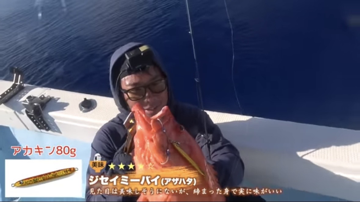 ｜「サメが追ってる！」数万匹レベルの魚の群れに遭遇。釣れた魚が『頭だけ』になる事件発生…。「犯人はコイツです」