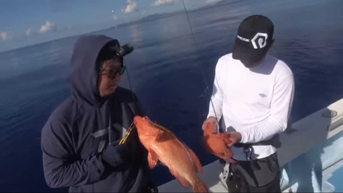 ｜「サメが追ってる！」数万匹レベルの魚の群れに遭遇。釣れた魚が『頭だけ』になる事件発生…。「犯人はコイツです」