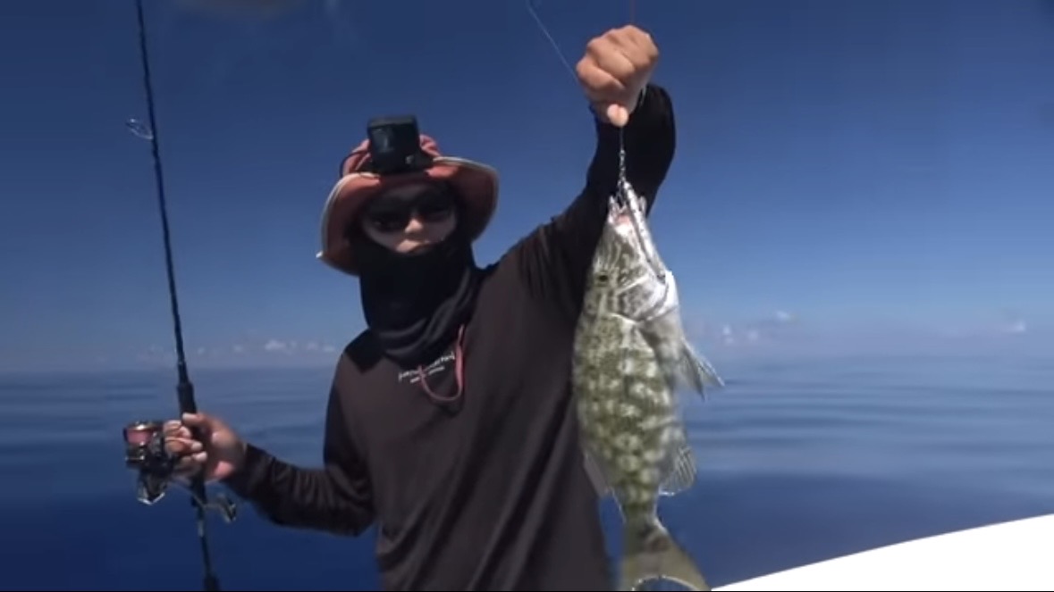 |「サメが追ってる!」数万匹レベルの魚の群れに遭遇。釣れた魚が『頭だけ』になる事件発生…。「犯人はコイツです」