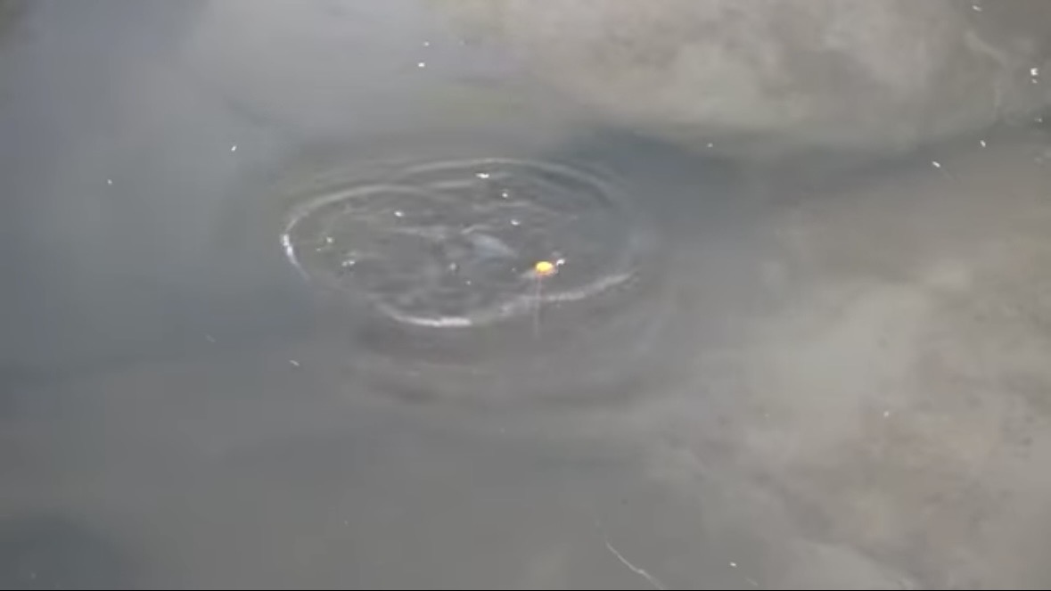 ｜「臭すぎる…」「悶絶級だわ」“世界一臭いチーズ”で釣りをした結果。気になる魚の反応が…。「これは最強のエサかもしれない」