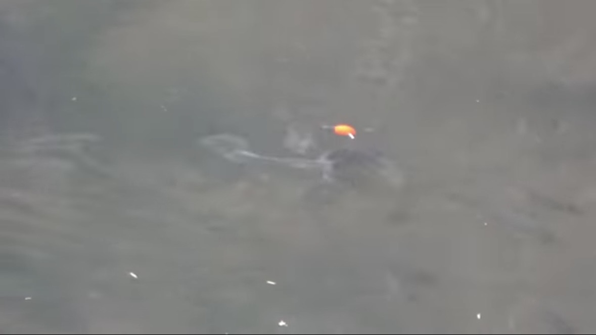 ｜「臭すぎる…」「悶絶級だわ」“世界一臭いチーズ”で釣りをした結果。気になる魚の反応が…。「これは最強のエサかもしれない」