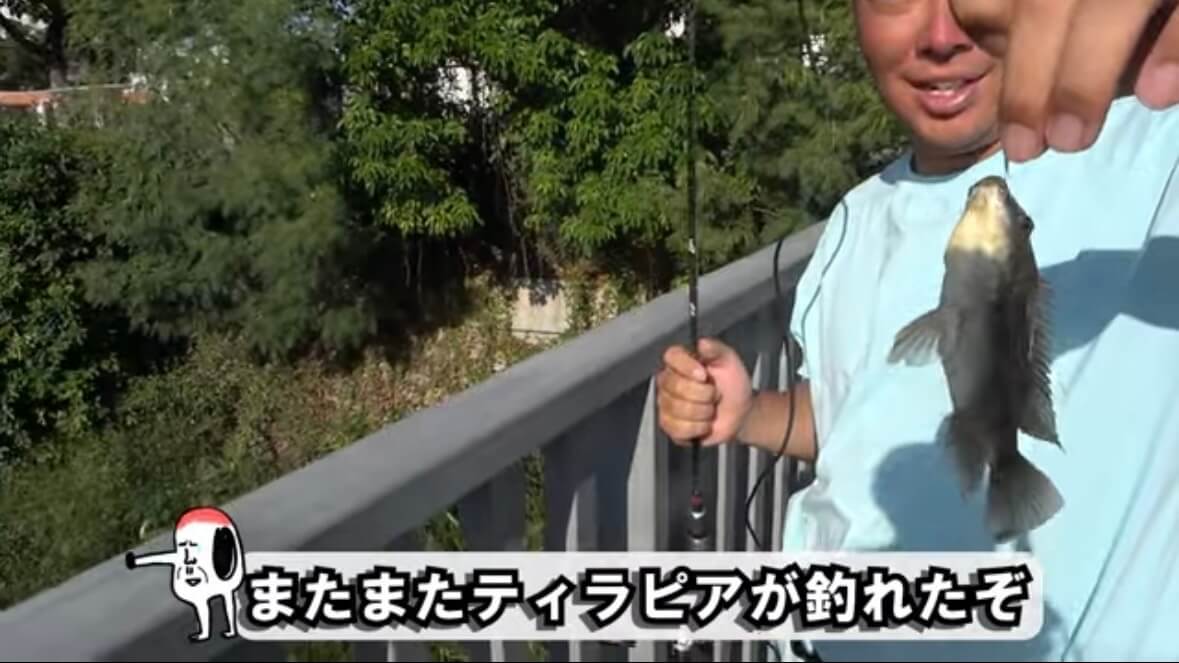 |「臭すぎる…」「悶絶級だわ」“世界一臭いチーズ”で釣りをした結果。気になる魚の反応が…。「これは最強のエサかもしれない」