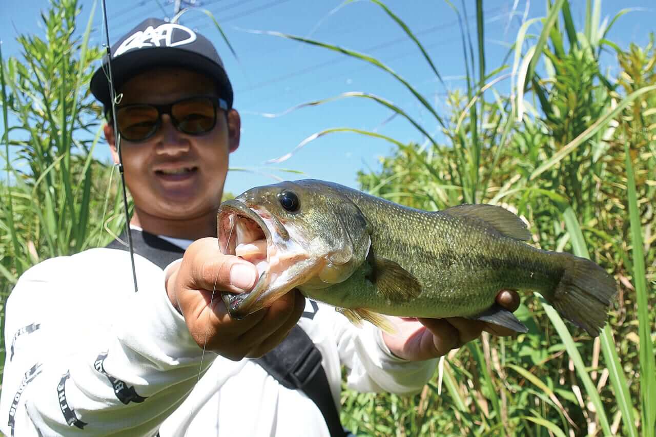 ｜【青木大介VS梶原智寛DAY1】師弟対決！トップトーナメンター同士が灼熱の北浦で激突!!【釣果推移で追う陸王WEBスペシャル】
