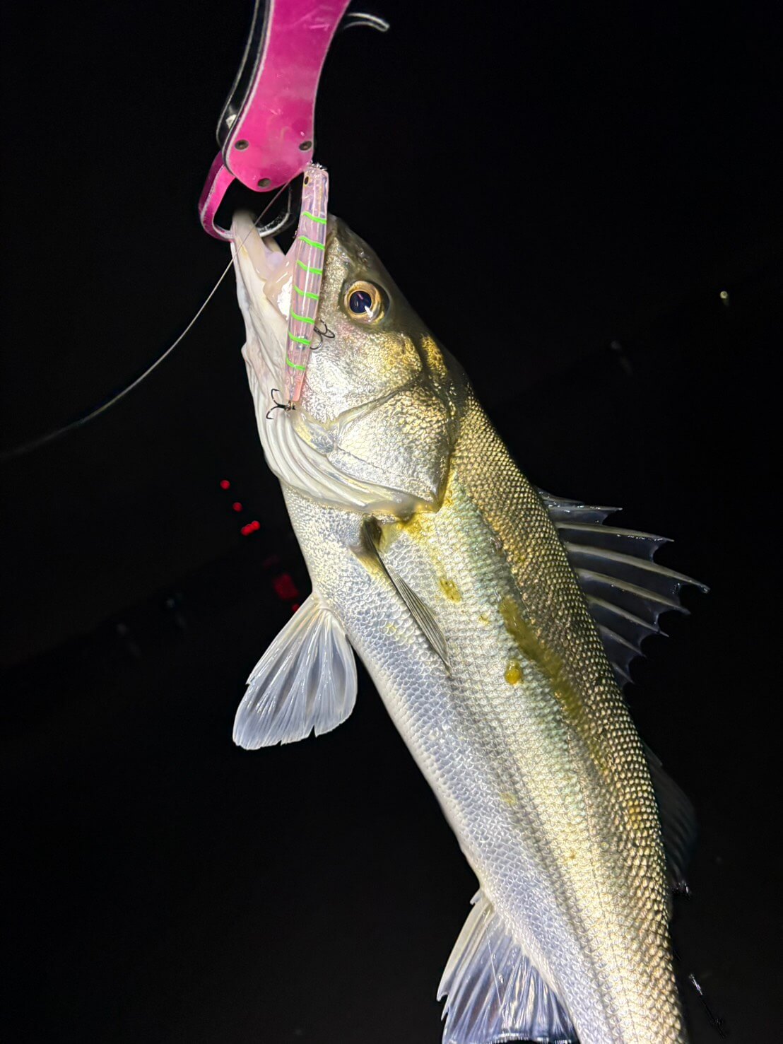 ｜【皆さんお待ちかね】“関東バチ抜け”パターンが開幕。爆釣をもたらしたルアーと釣り方は…。「ほぼ勝ち確です」