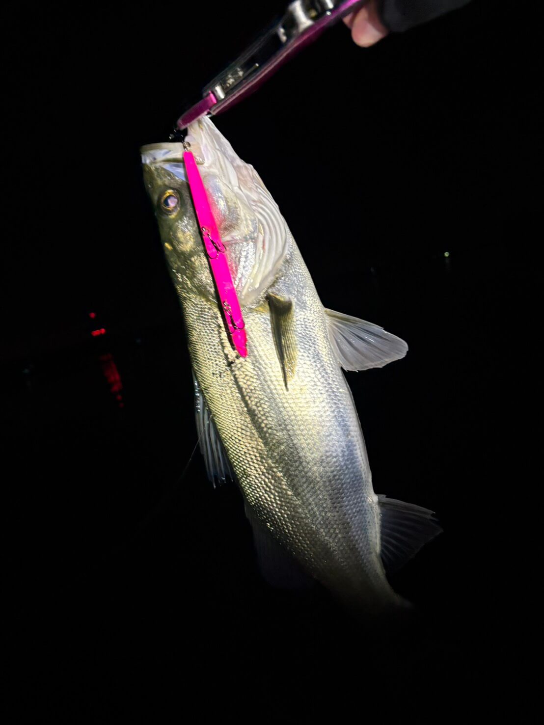 |「これからのバチルアーの中心」シマノの『ランザ』の性能がヤバすぎる件について。