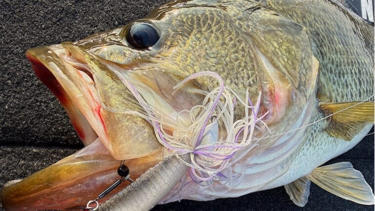 『釣れる釣りはいつまで経っても変わらない』年末年始もロクマル級。春まで続く定石パターン！【大西健太のOKレポート】