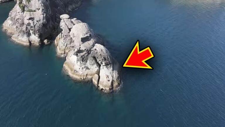 「キタッ！」すべての“大物”が釣れる「神の岩」でユーチューバーが釣りキャンプ。『30万回』再生された磯釣り動画がスゴイ。「最高でした」