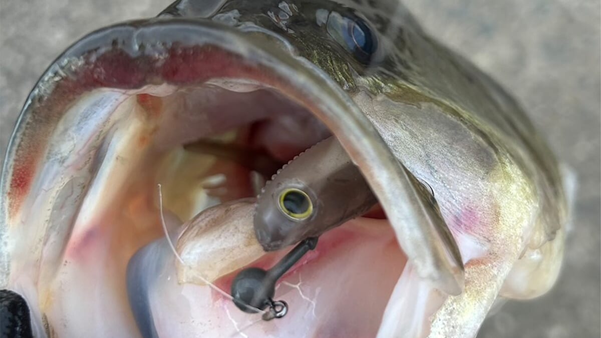 ｜水温5度台での連発劇「これは痺れる！」強風時でも釣れるスポットは必ず存在する【週刊ササカツ無双】