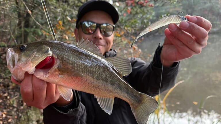 ふゆでガブガブ食ってくるヤバい釣り。全国で流行中のデカホバストの詳しいセッティングを伝授！