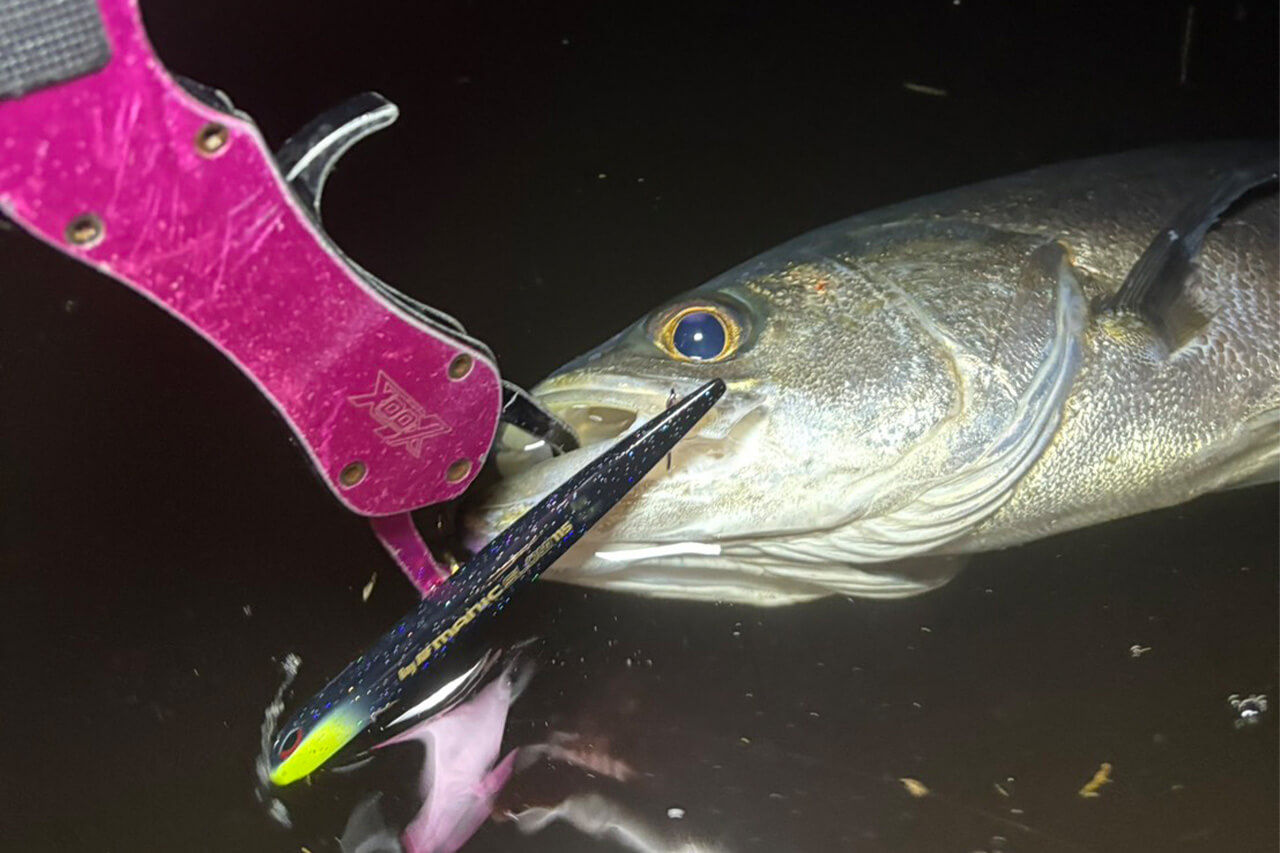 ｜【2026年】東京湾を知り尽くす男がバチ抜けカレンダーを公開。今年の初シーバスを釣るなら必見！オススメルアーも。