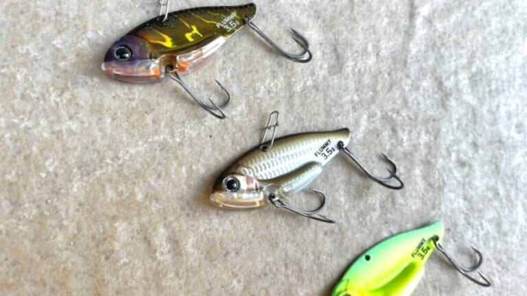 緊張の実釣撮影「この時期のバラシはキツい…」プレッシャーを跳ね除け夕方にドラマが！【鈴木翔のIT’S SHO TIME !!!】