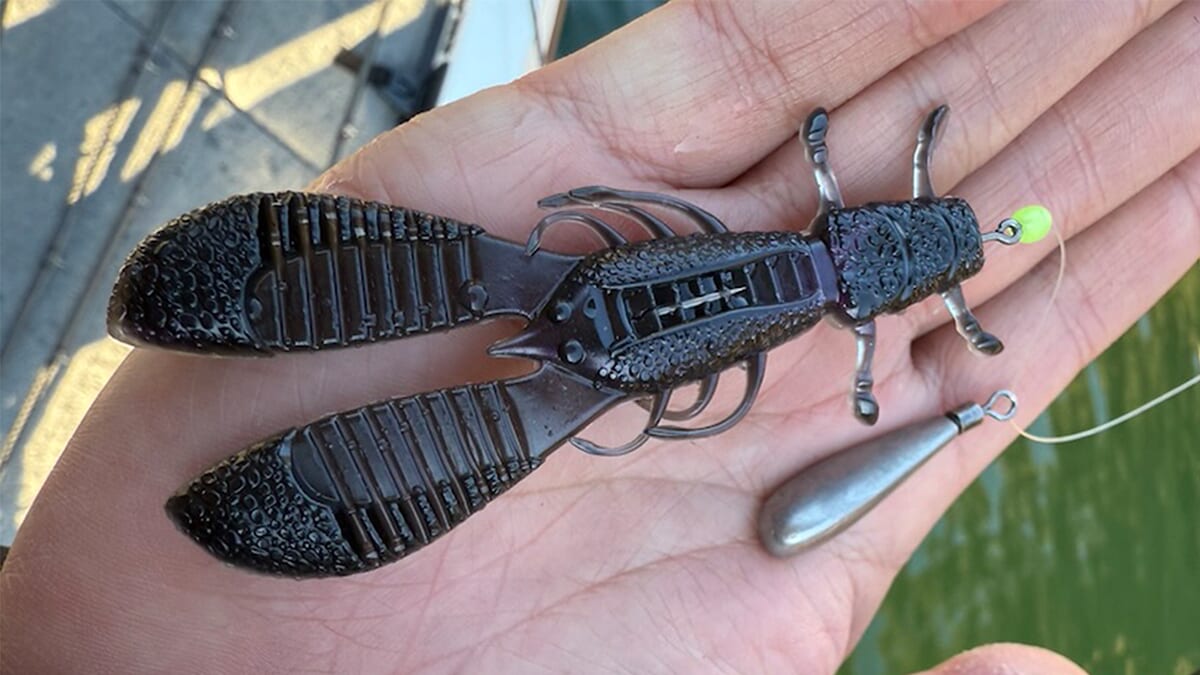 |「バイトが止まらずガブガブ状態」冬爆の二桁釣果!シンカーの重さを吟味することが、水中をしっかりイメージできる秘訣!