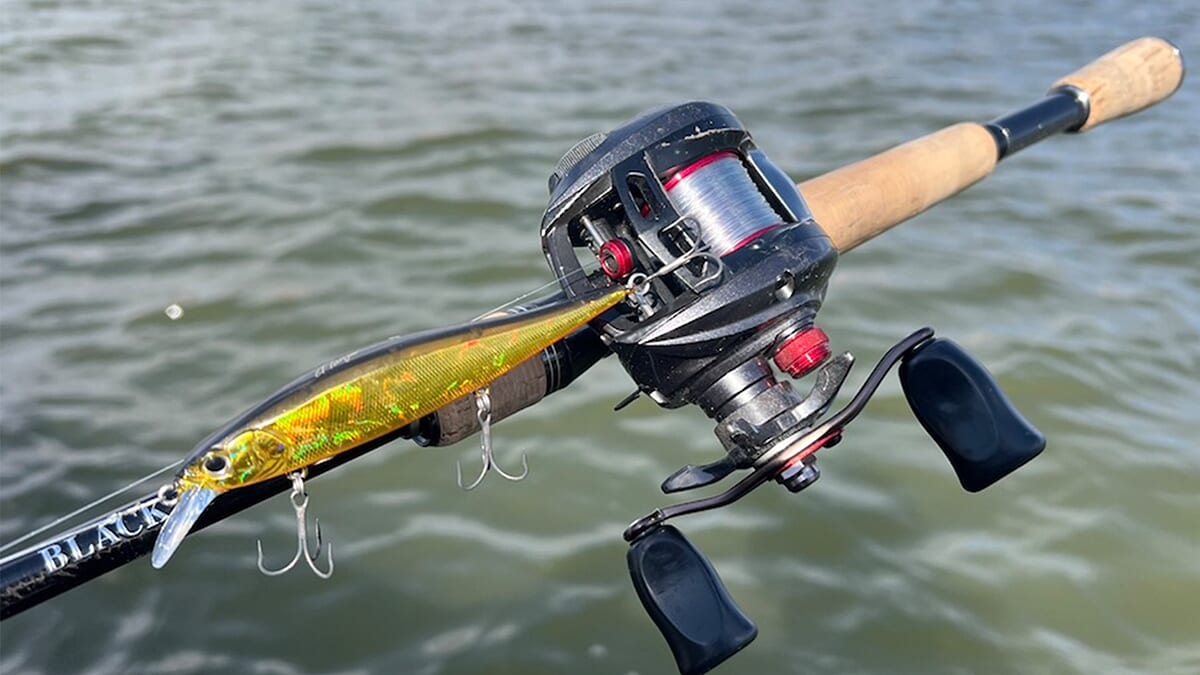 ｜「クッション性があるのにハード」ナイロンラインの新境地、『アブソルートHB』のメリットを紹介！【鈴木翔のIT’S SHO TIME !!!】