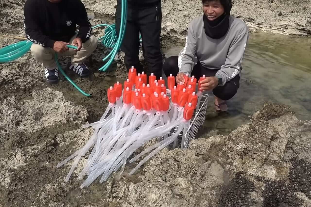 |「この発想はスゴイ」「マジかよ」“海の水を抜く”という驚異の企画。海底からどんな生物が現れるのか…。「コイツだけは捕まえたい」