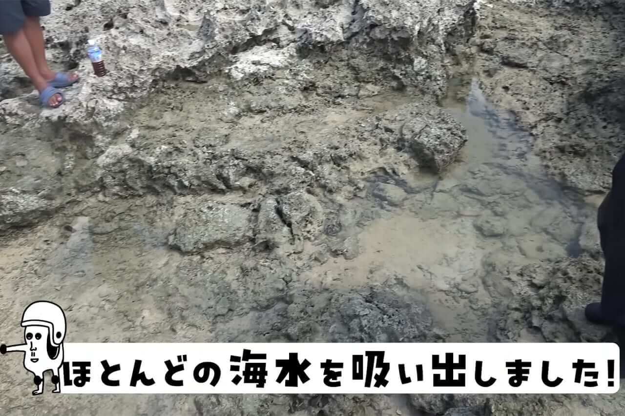 |「この発想はスゴイ」「マジかよ」“海の水を抜く”という驚異の企画。海底からどんな生物が現れるのか…。「コイツだけは捕まえたい」