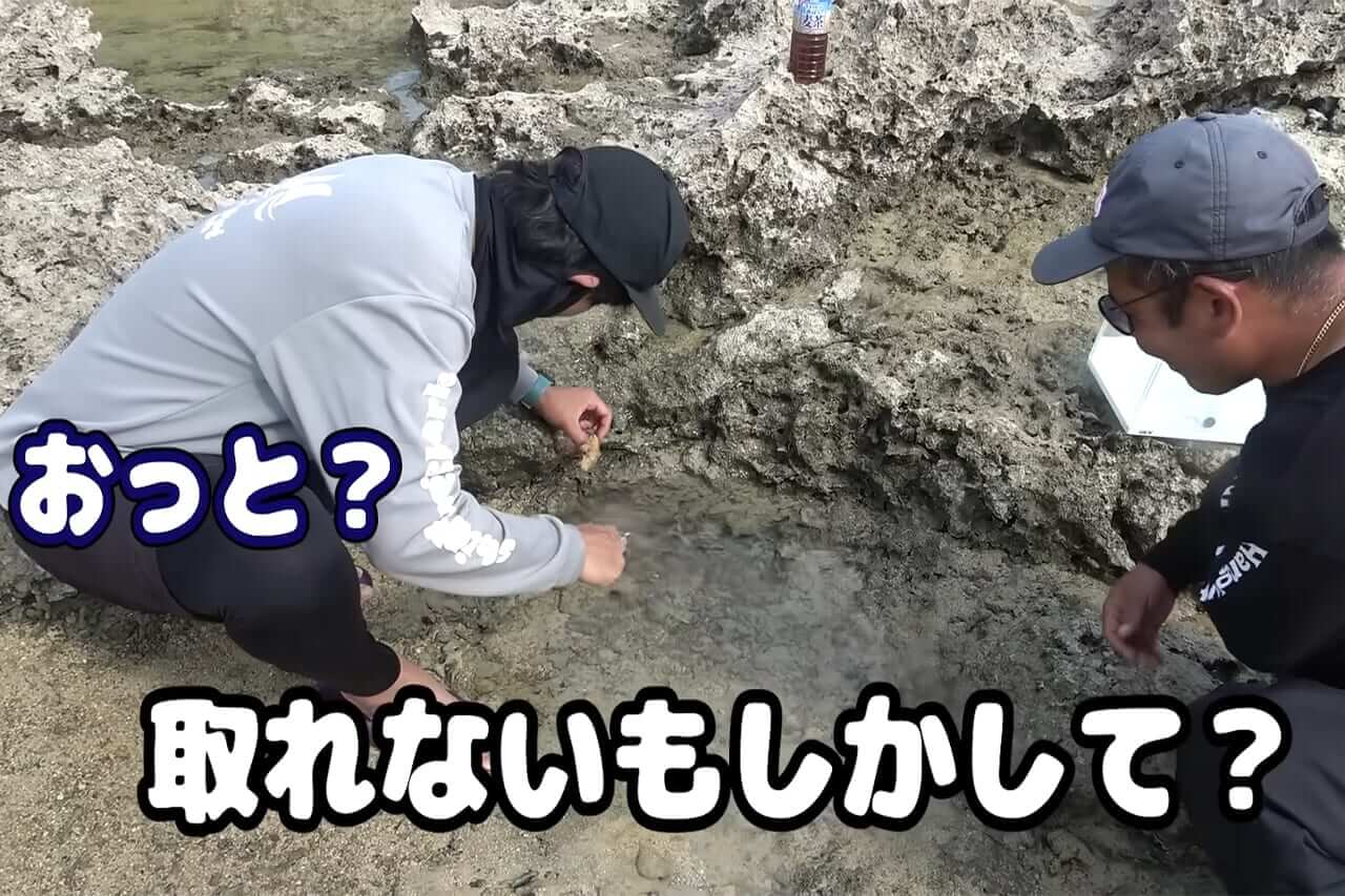 |「この発想はスゴイ」「マジかよ」“海の水を抜く”という驚異の企画。海底からどんな生物が現れるのか…。「コイツだけは捕まえたい」