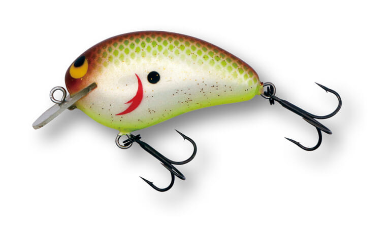 【入手困難⁉】MPB LURESの実戦的クランクベイト9選＋α